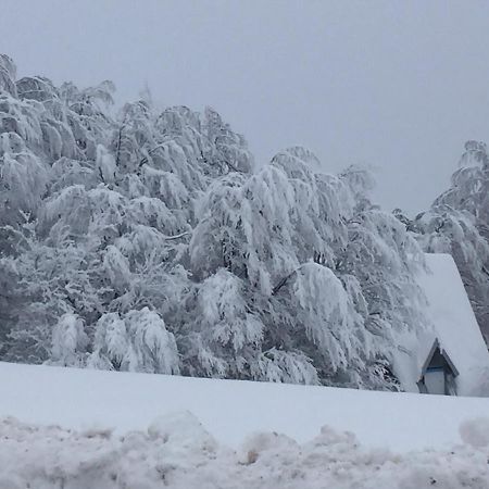 Golija Vikendica Cesta Vrela Villa Raška Kültér fotó