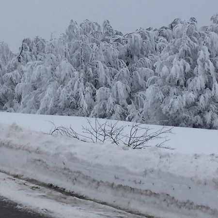 Golija Vikendica Cesta Vrela Villa Raška Kültér fotó