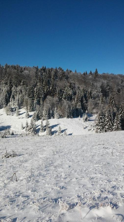 Golija Vikendica Cesta Vrela Villa Raška Kültér fotó