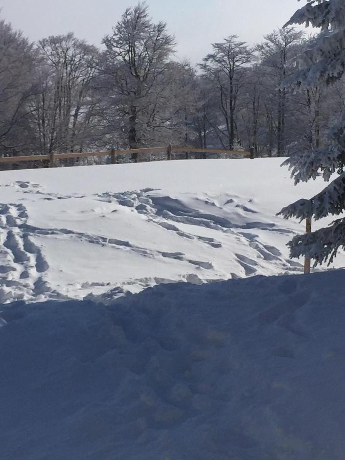 Golija Vikendica Cesta Vrela Villa Raška Kültér fotó