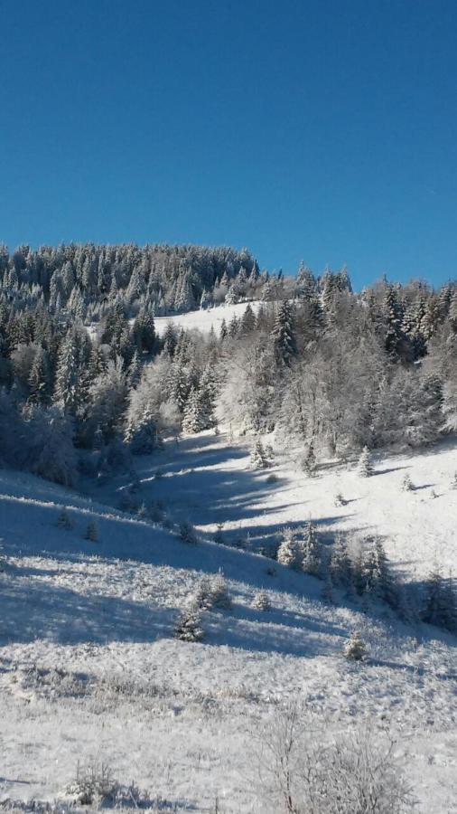 Golija Vikendica Cesta Vrela Villa Raška Kültér fotó